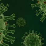 Siklus Hidup Mikroorganisme Bakteri, Virus, Jamur, dan Protista